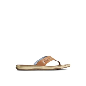 Sperry Sandals^Baitfish Flip Flops