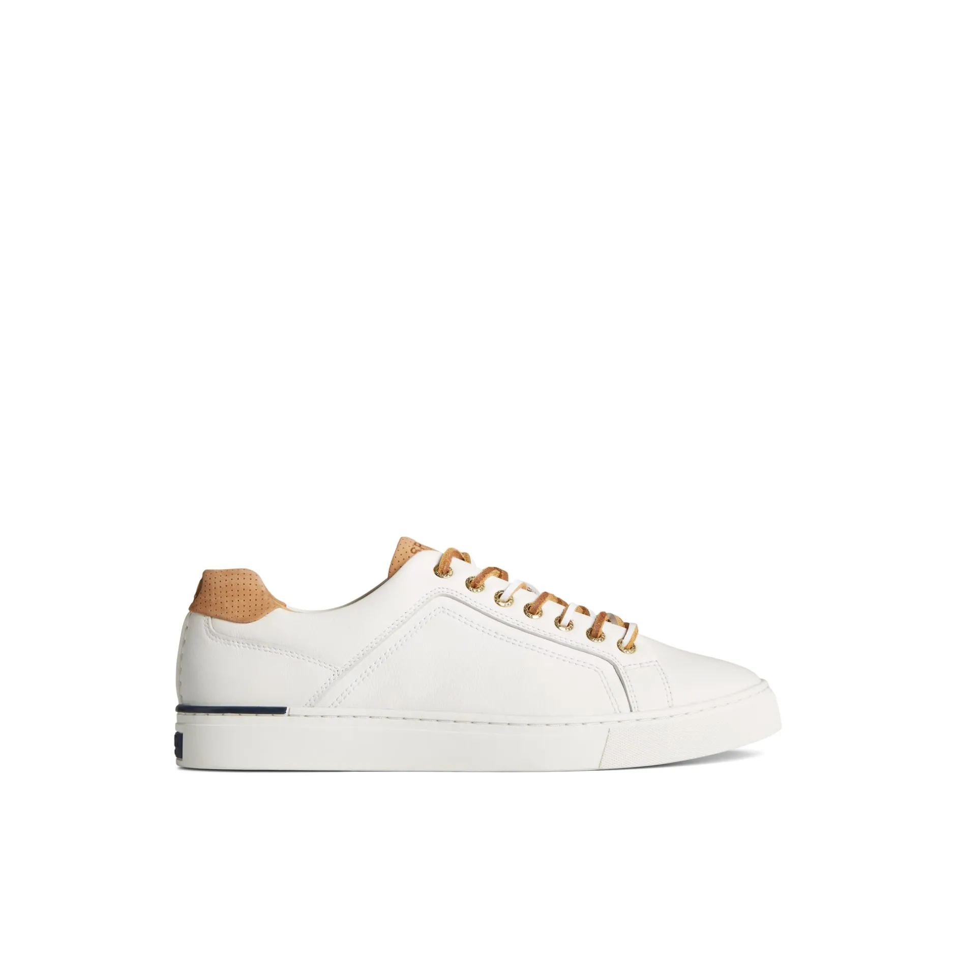 Sperry Shoes | Sneakers^Gold Cup™ Striper LTT Sneaker
