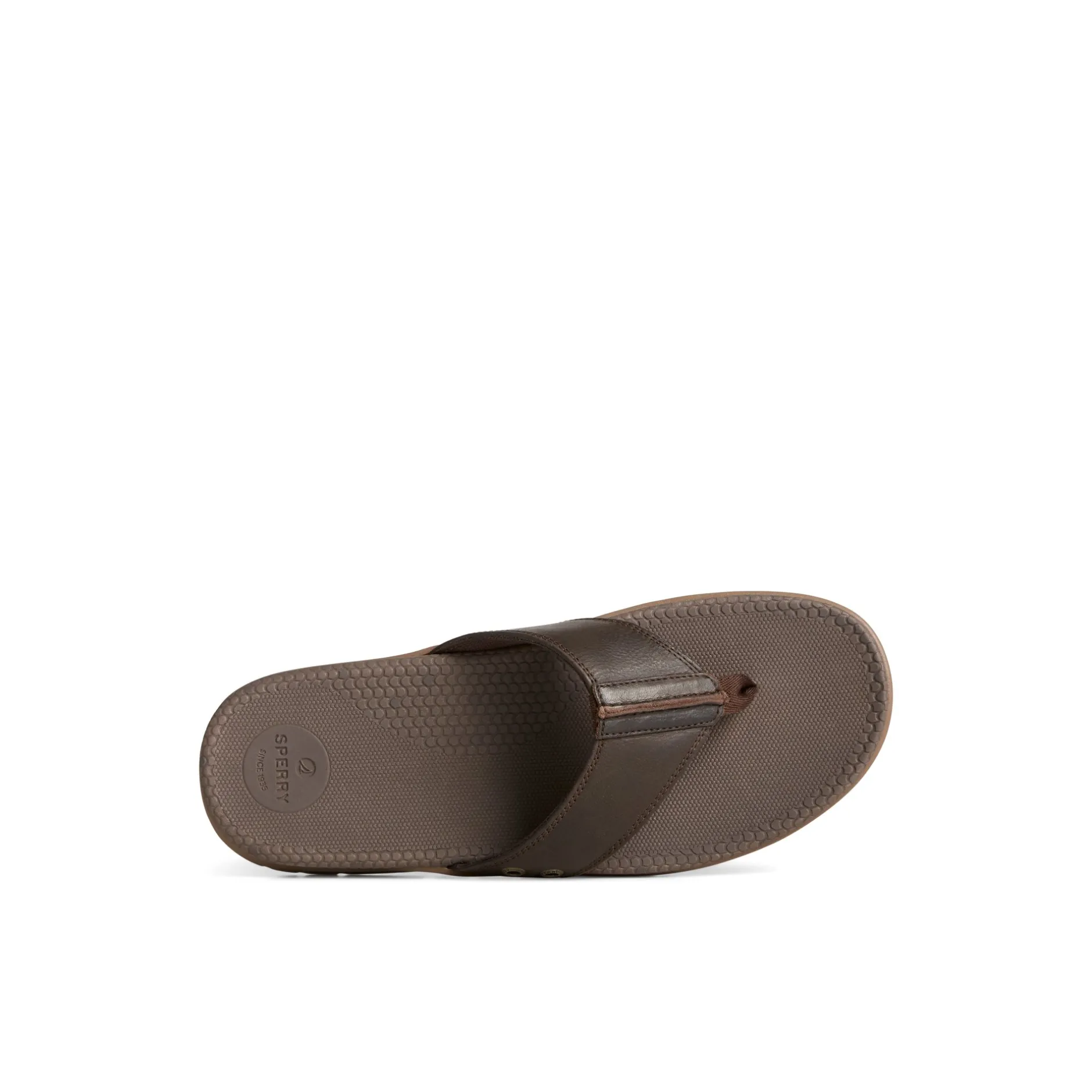 Sperry Sandals^Santa Cruz II Thong Sandal