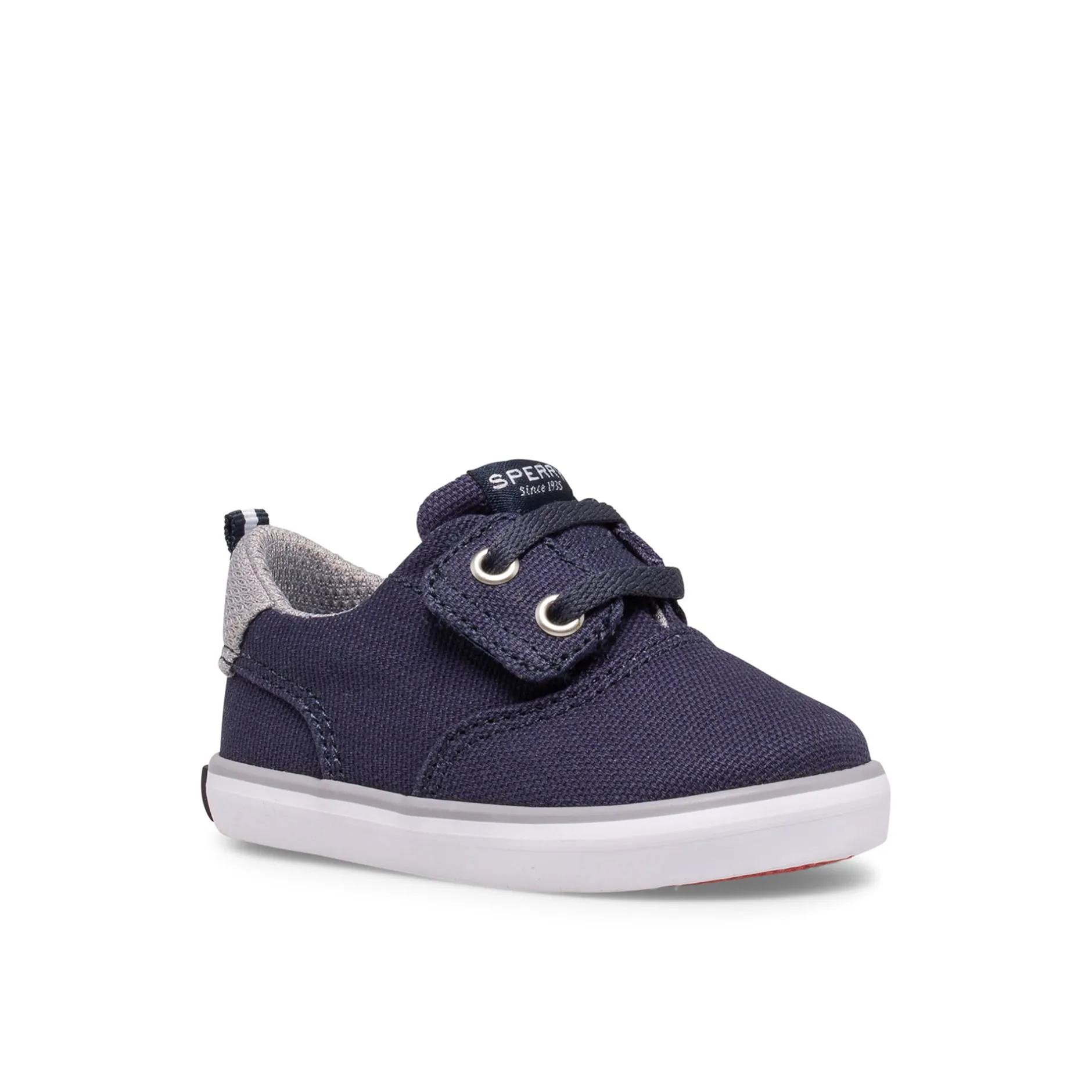Kids/BOY Sperry Sneakers^Spinnaker Crib Junior Washable Sneaker