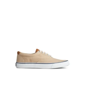 Sperry Shoes | Sneakers^Striper II CVO Sneaker